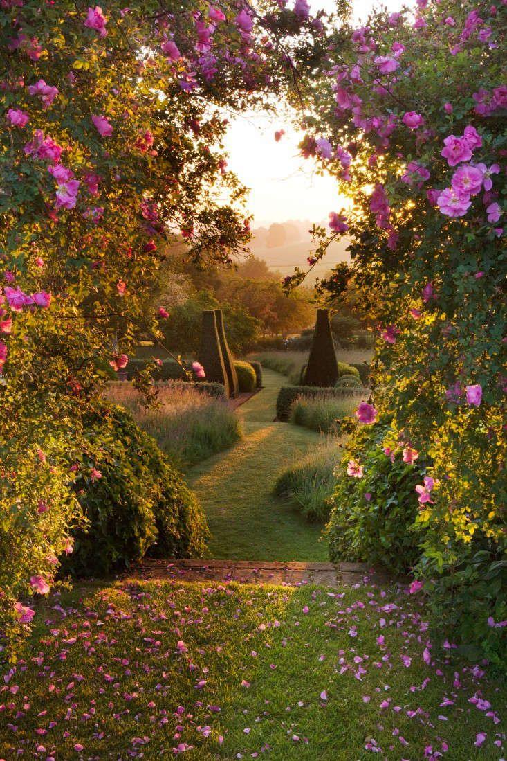 Starlight Whispers Tender Blossom Medley